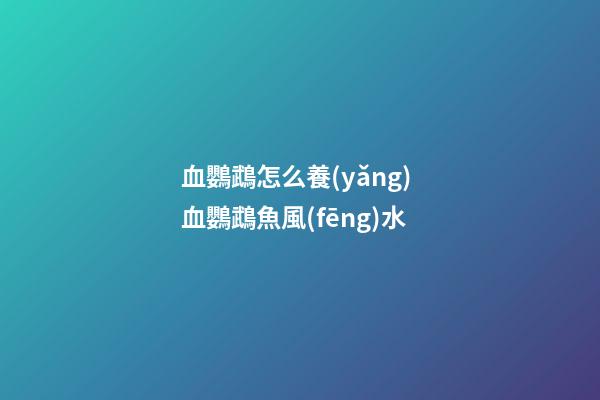 血鸚鵡怎么養(yǎng) 血鸚鵡魚風(fēng)水